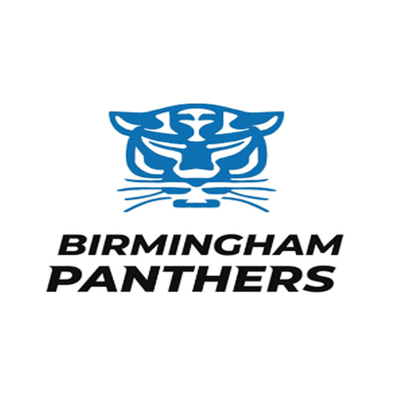 birmingham panthers